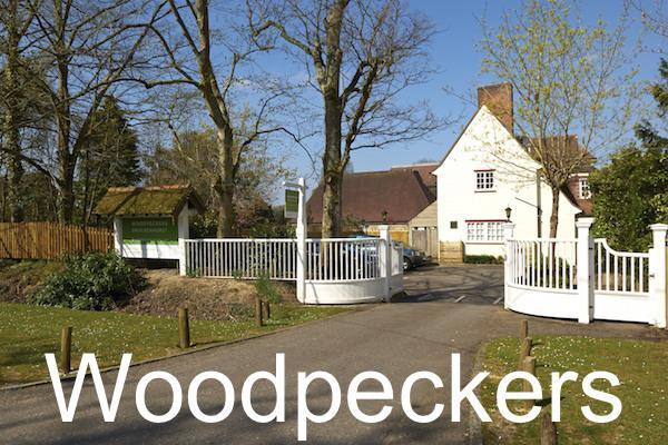 Colten Care home Woodpeckers in Brockenhurst