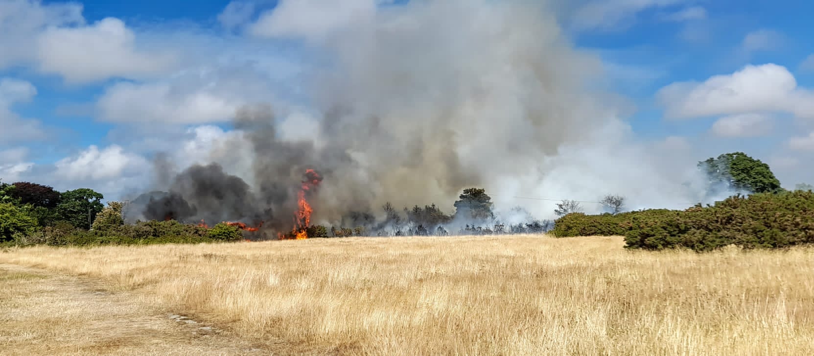 Image of fire at Pennington Common