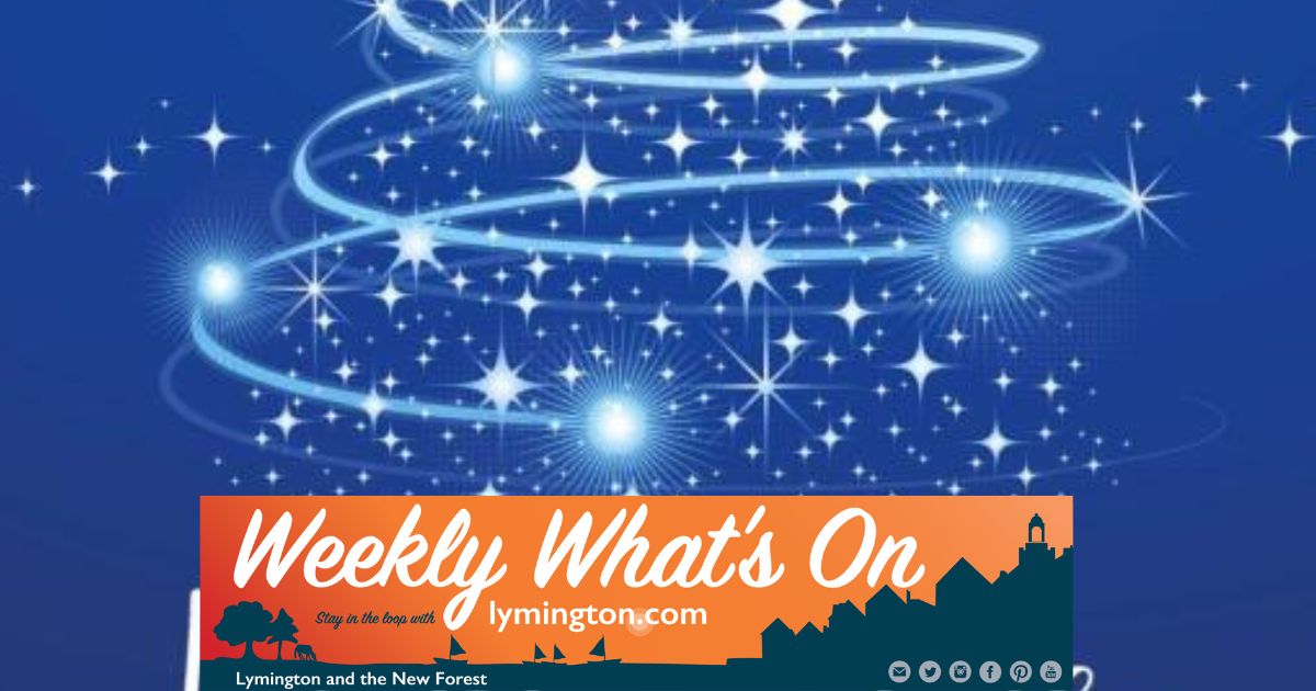 Spectacular forest sunset