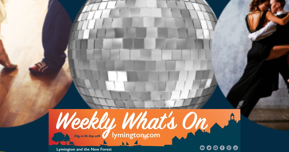 Spectacular forest sunset