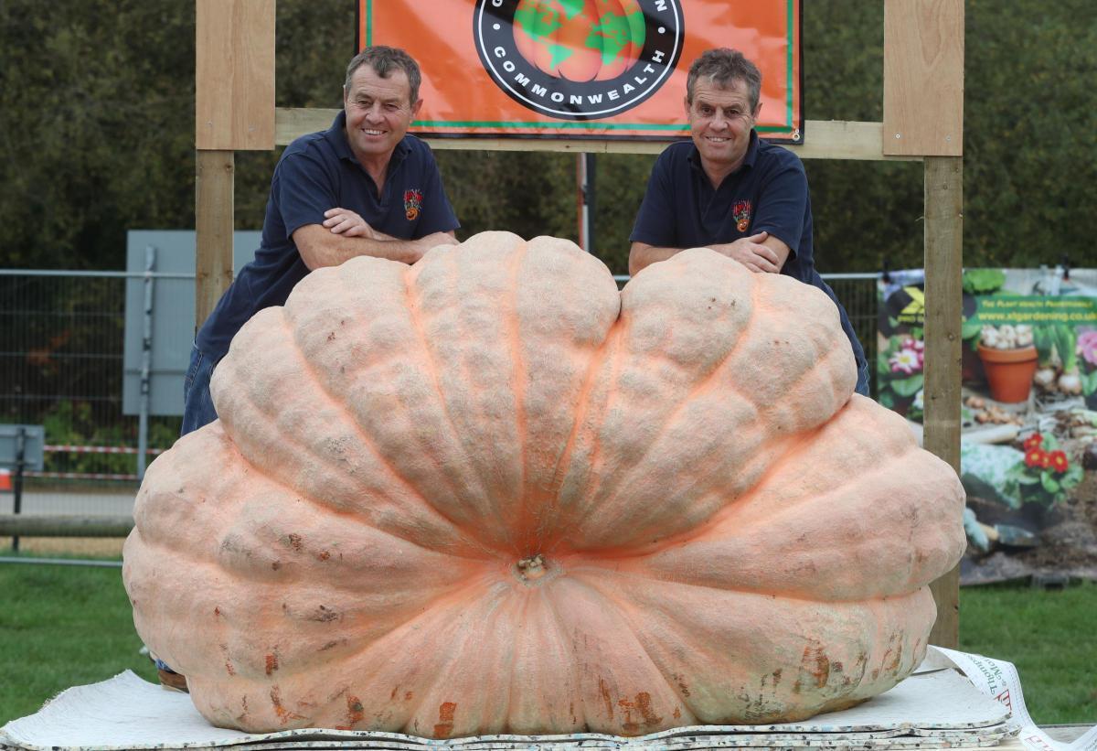 Giant pumpkin grown in Lymington by Paton brothers breaks UK record