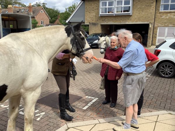 Colonel the horse being given a carrot by Colten Care resident Peter