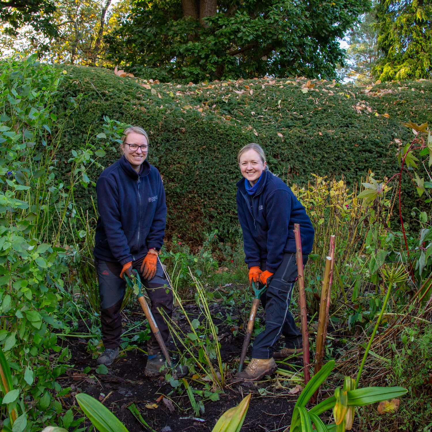 Bringing in the perennials at Exbury Gardens, November 2023