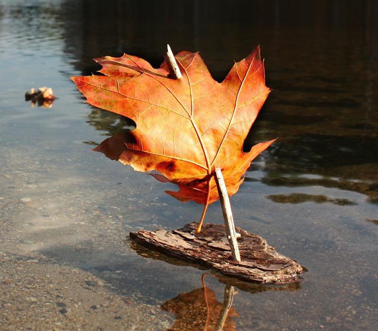 October Half Term: What's on in Lymington and the New Forest