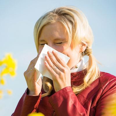 Reduce your hayfever – perhaps get rid of it for ever