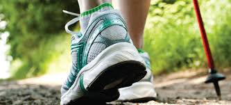 Lymington and New Forest Nordic Walking