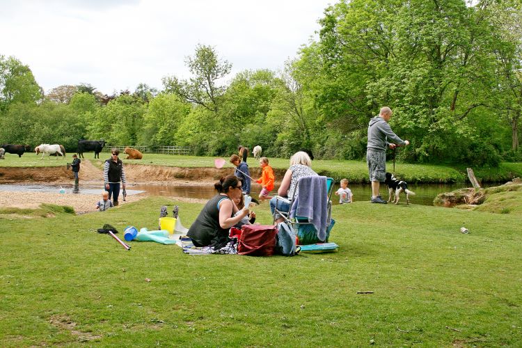New Forest summer with New Forest Cottages 180 holiday properties