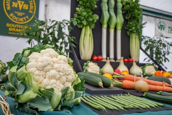 new forest show 2019 official05 600