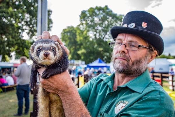 new forest show 2019 official12 600