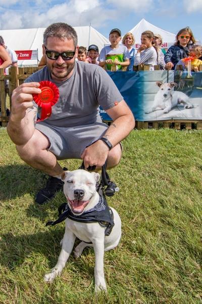 new forest show 2019 official18 600