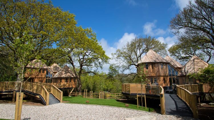 shorefield blooming marvellous pledge for nature - treehouses