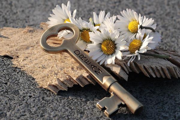 key engraved dream with daisies