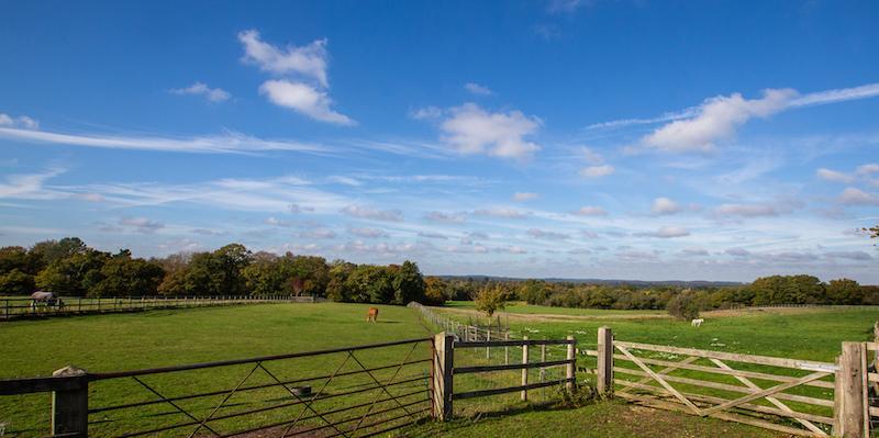 The spectacular views from Tilefield Equestrian's meeting venue