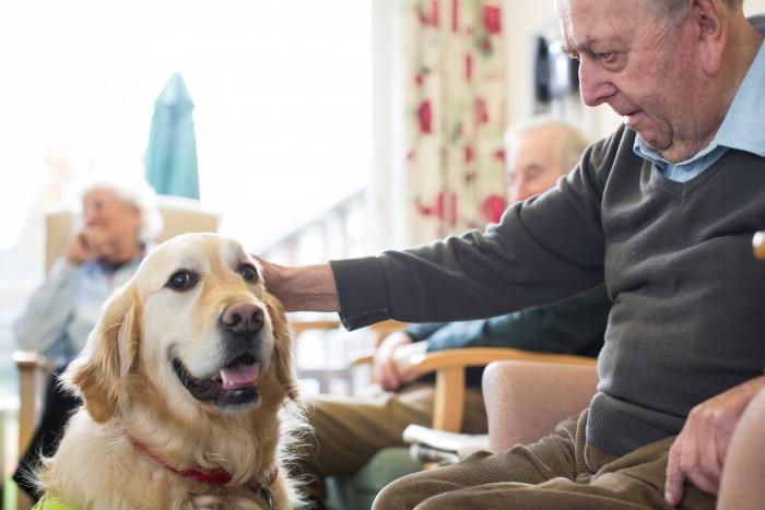 Pets provide therapy in care homes