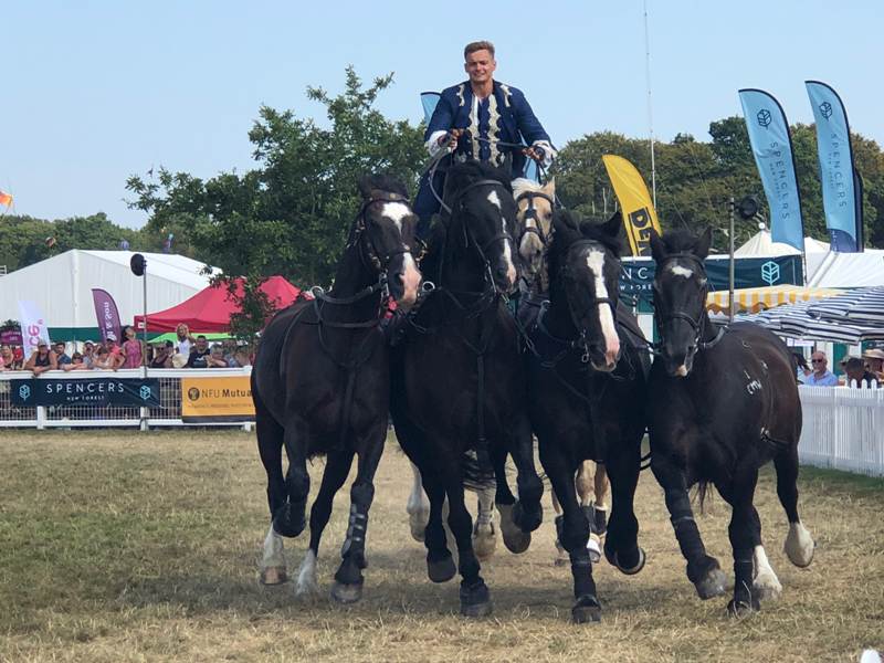 new forest show 2018  ATKINSON 800