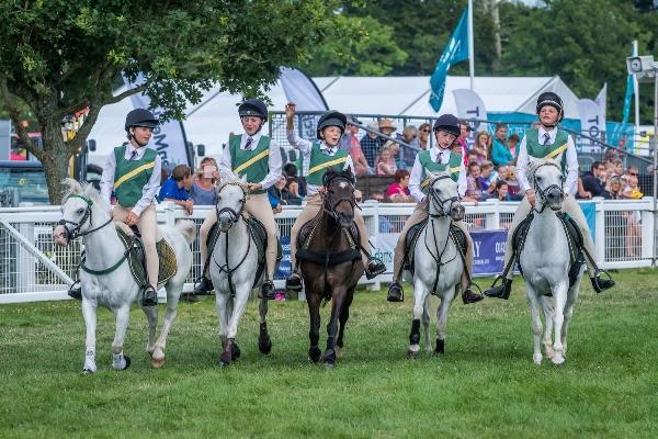 new forest show pony club 600