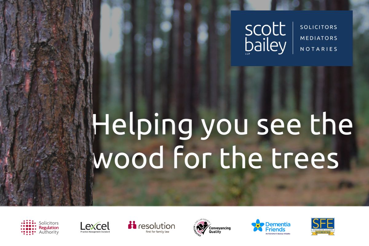 Scott Bailey LLP - Helping you see the wood for the trees