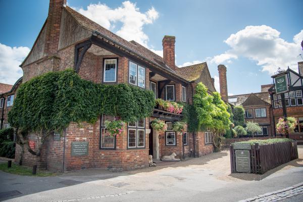 The Great Beaulieu Dog Walk