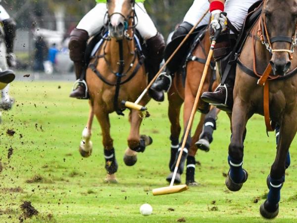 2026 Charity Polo Day - Raising Funds for Oakhaven Hospice