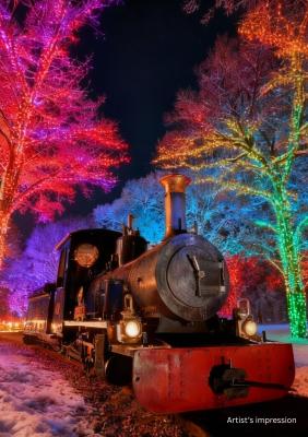 Christmas Night Train